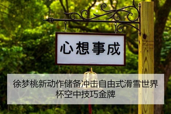 xu-meng-tao-xin-dong-zuo-chu-bei-chong-ji-zi-you-shi-hua-xue-shi-jie-bei-kong-zhong-ji-qiao-jin-pai-2-699.jpg